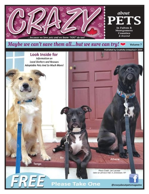 Seventh Issue Crazy About Pets Magazine