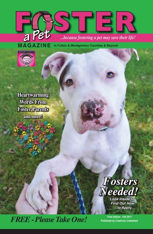 First Edition FOSTER Magazine